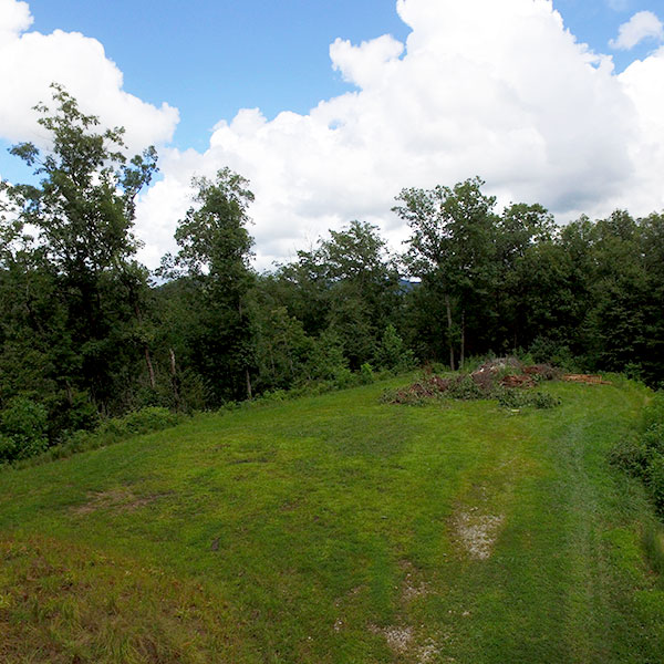 Buy NC Land Site #1